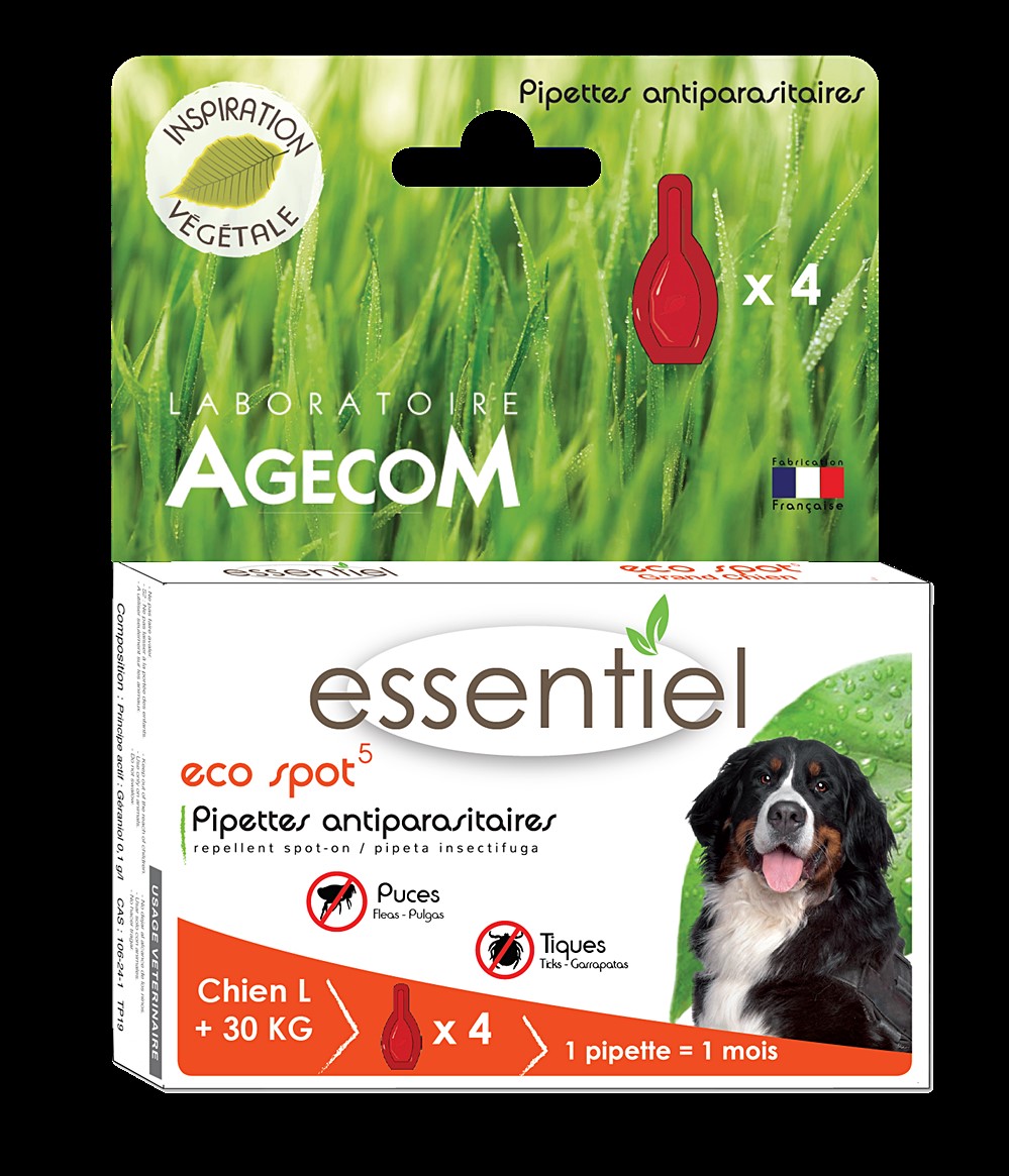 Eco spot n°5 Grand chien